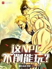 这NPC不削能玩?