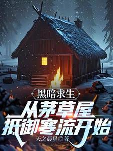 黑暗求生:从茅草屋抵御寒流开始